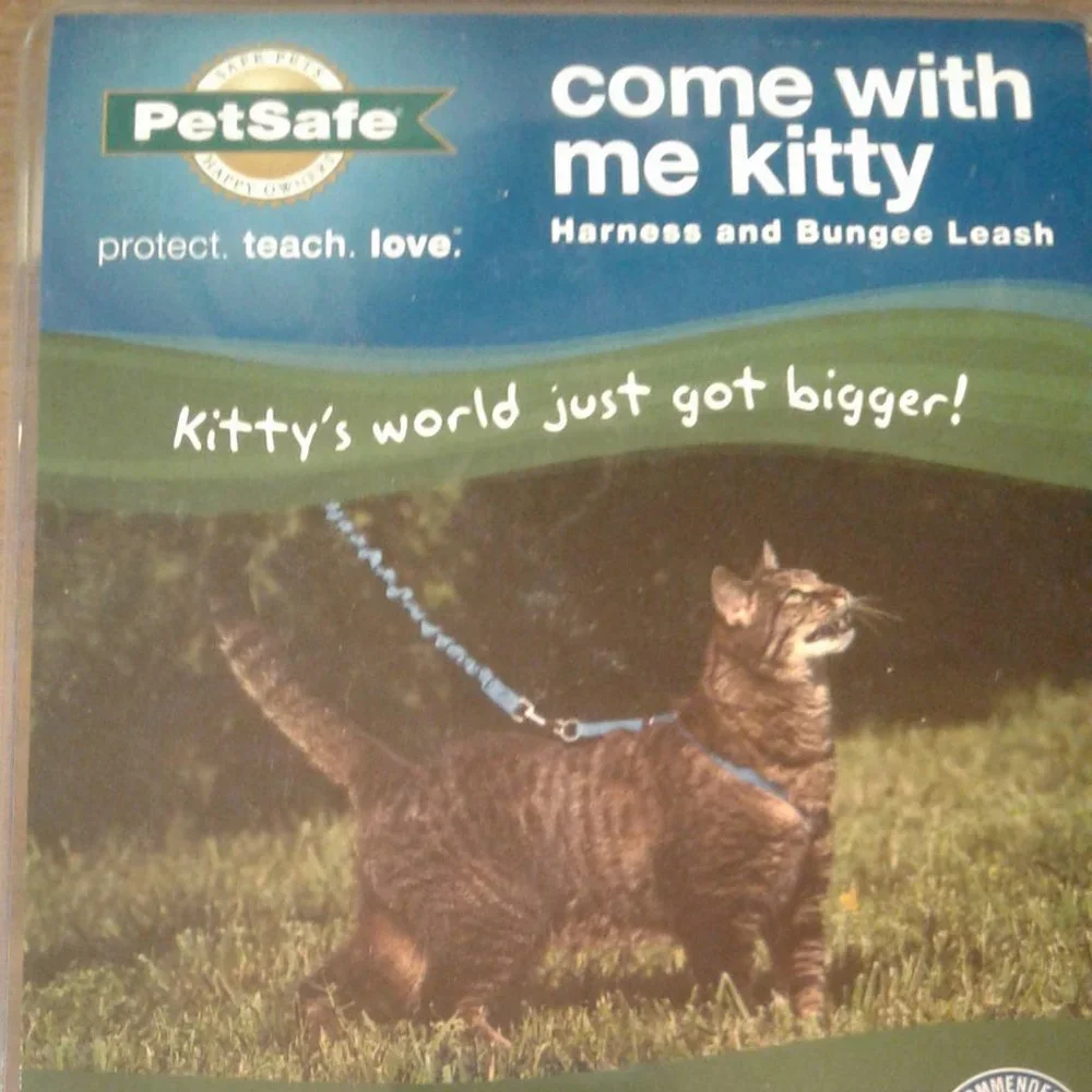 PetSafe Large Cat Harness Bungee Leash Blue Navy NEW